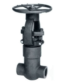 API 602 schmiedete Stahlventil-/Dichtschott-Schieber NPT-Schalter-Enden